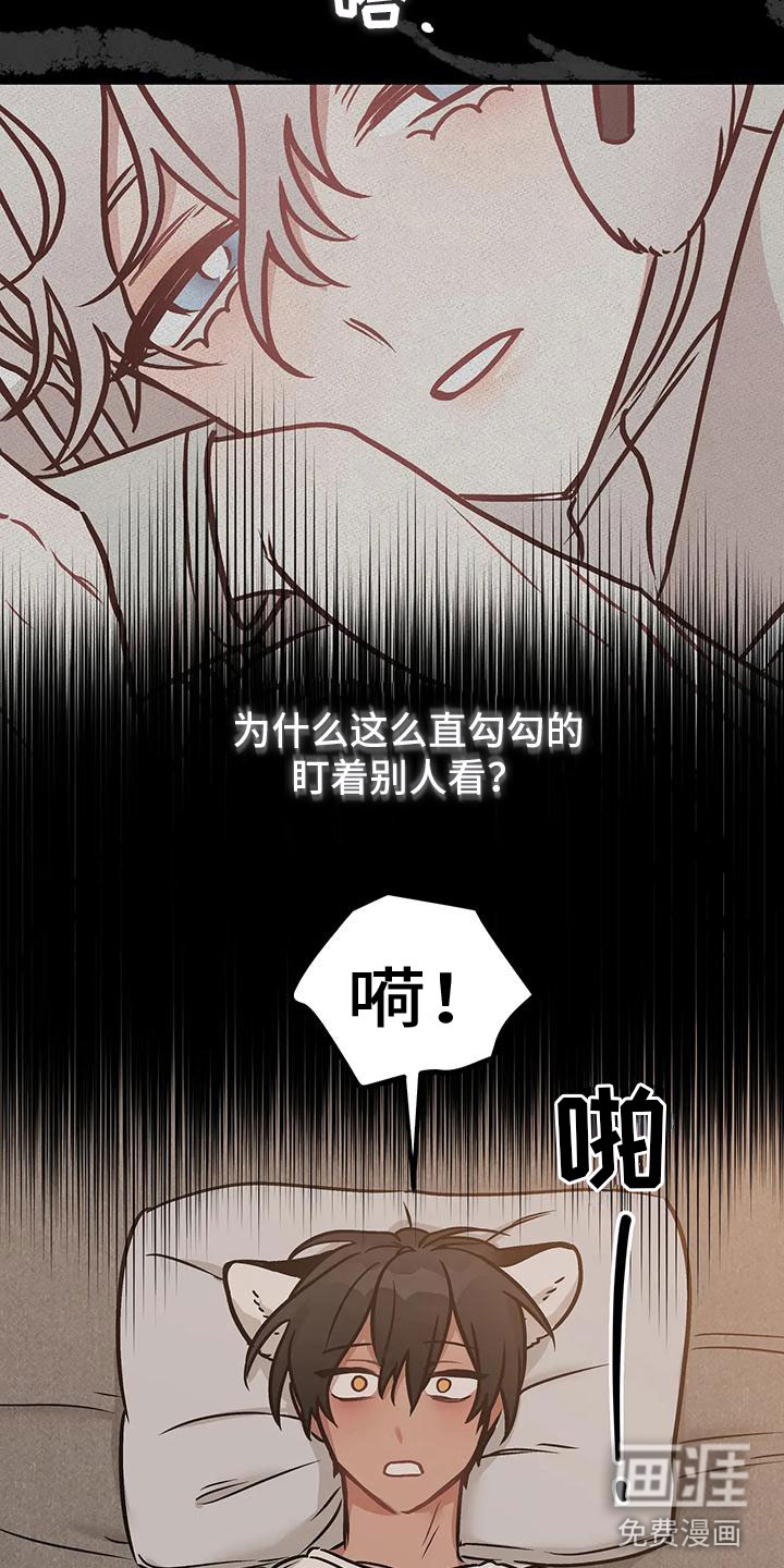 第5话：第5章：朋友预览分镜