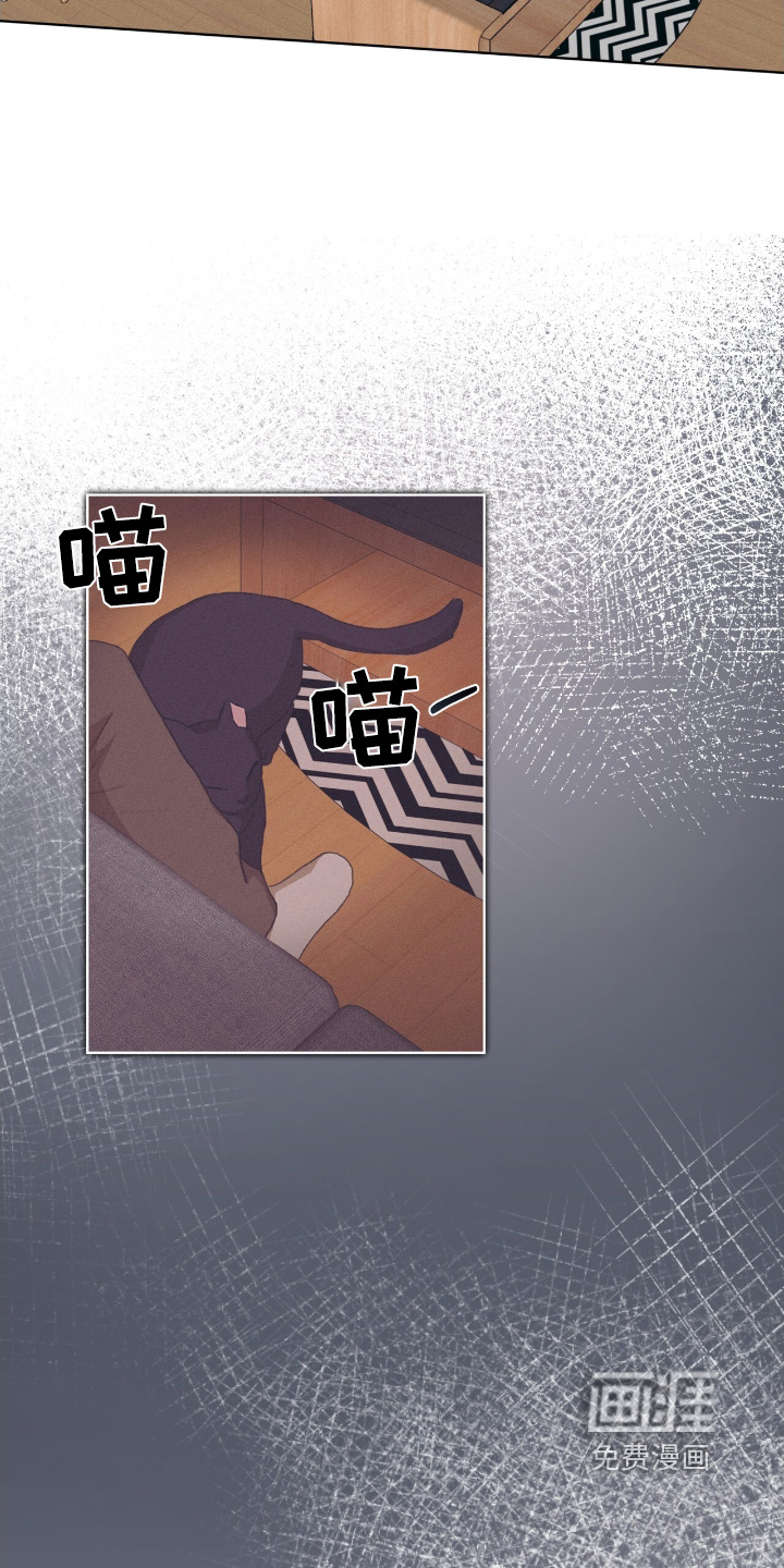 第82章:不去了