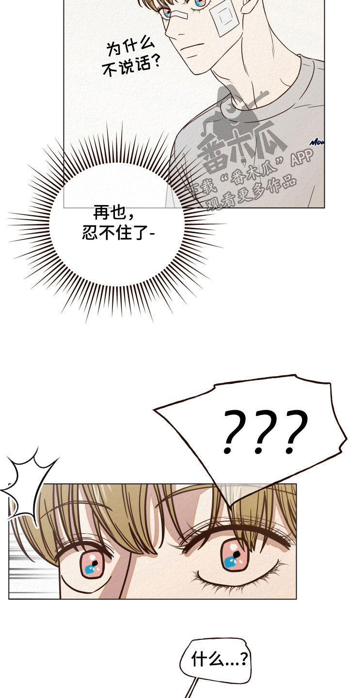 第15话：幻觉预览分镜