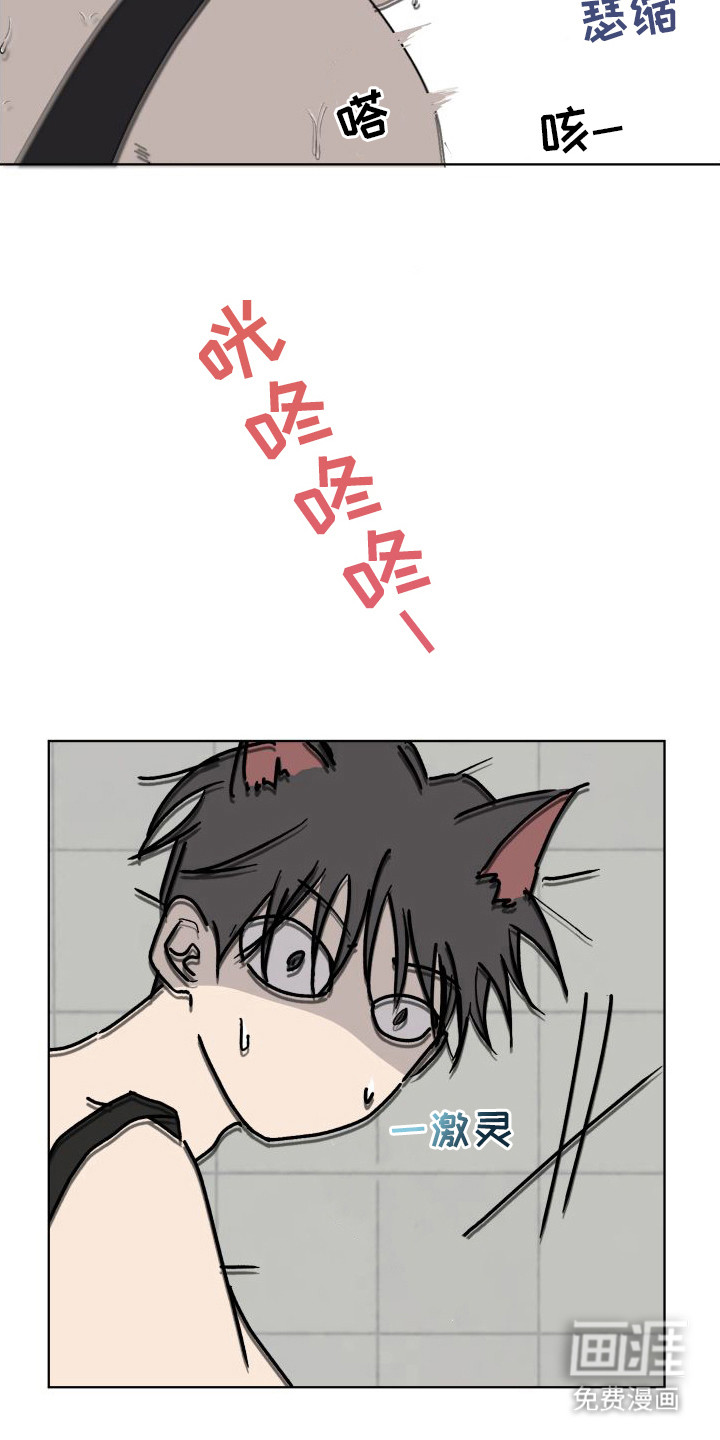 第8话：第8章：收拾行李预览分镜