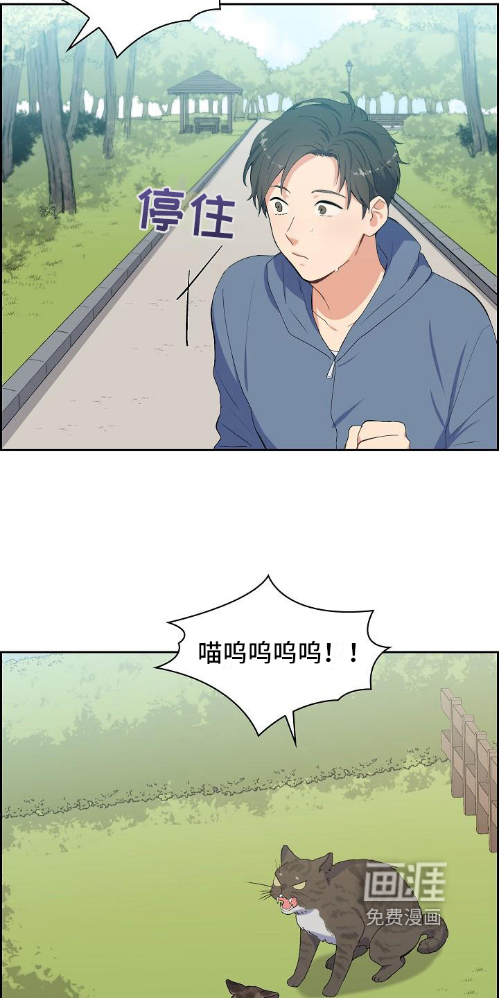 第7话：第7章：猫的纷争预览分镜