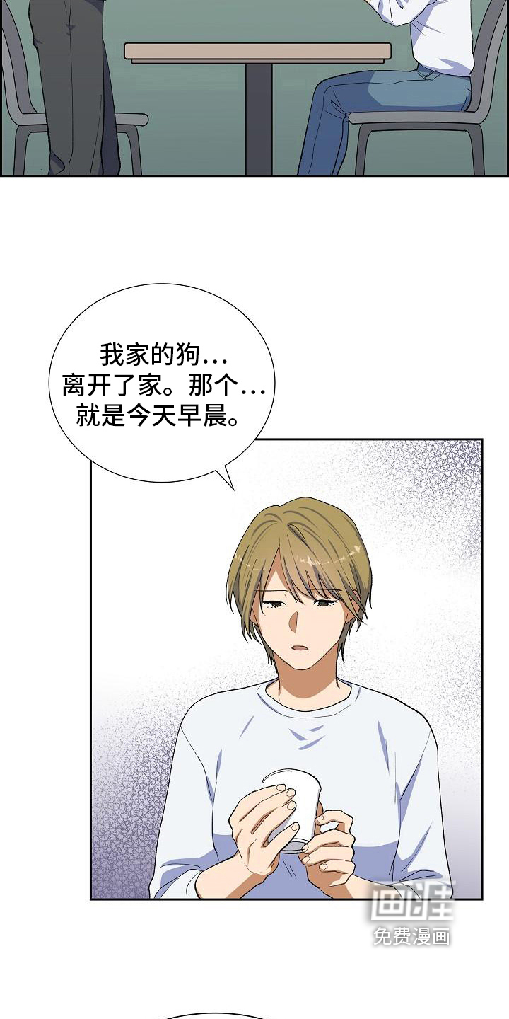 第17话：第17章：找狗预览分镜