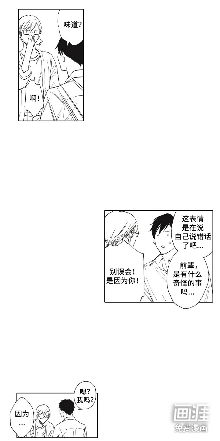 番外(完结)