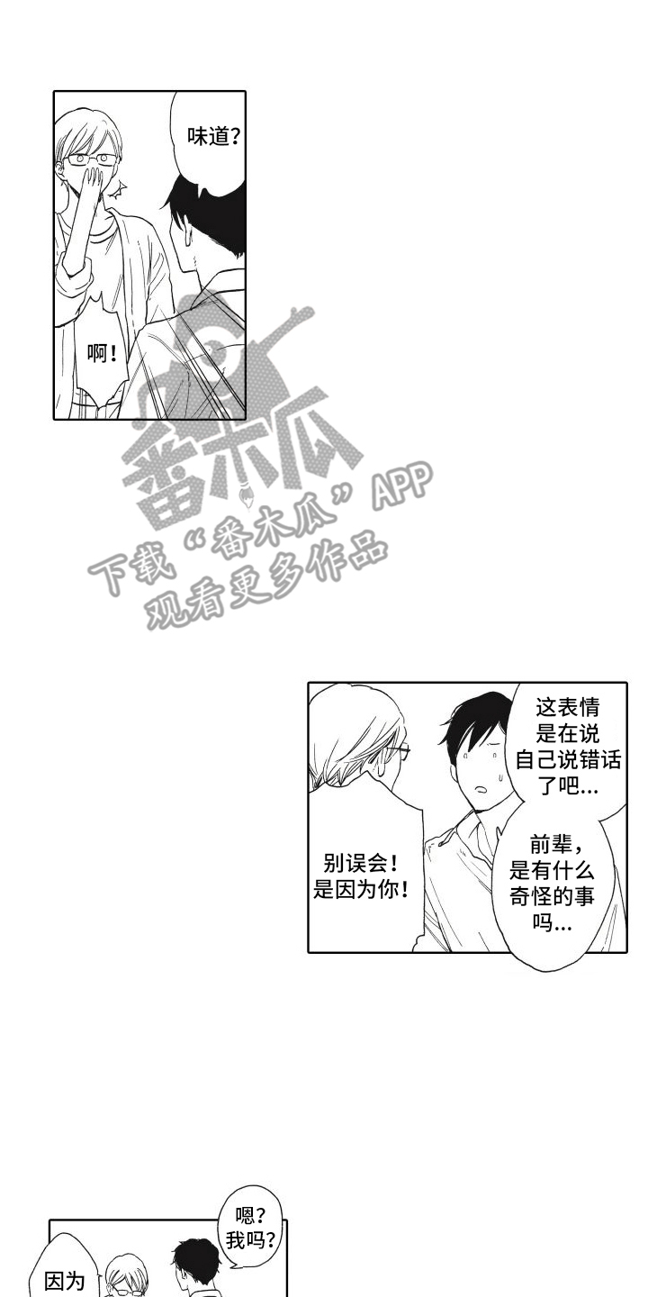 番外(完结)