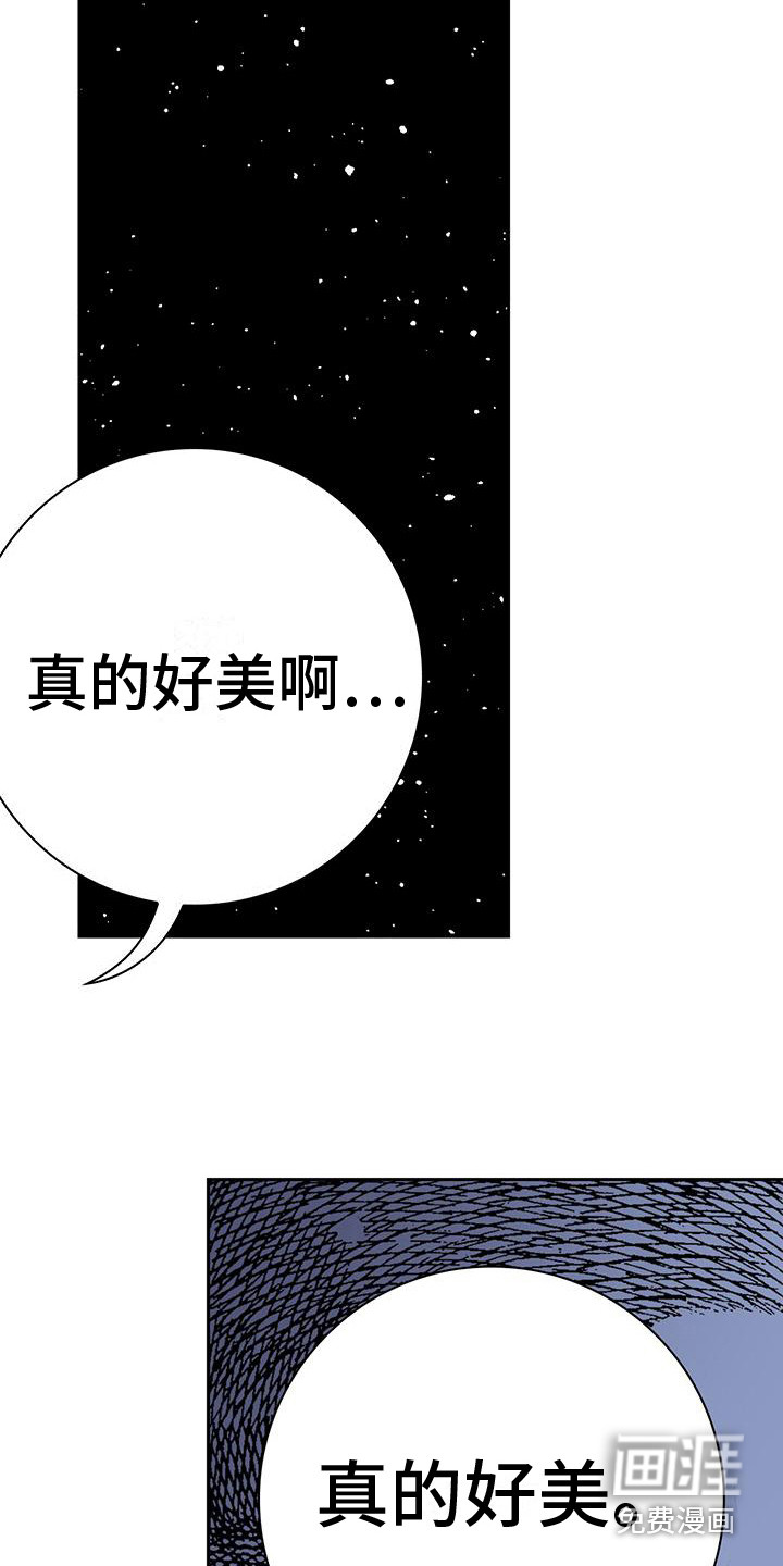 第6话：第6章：好美啊预览分镜