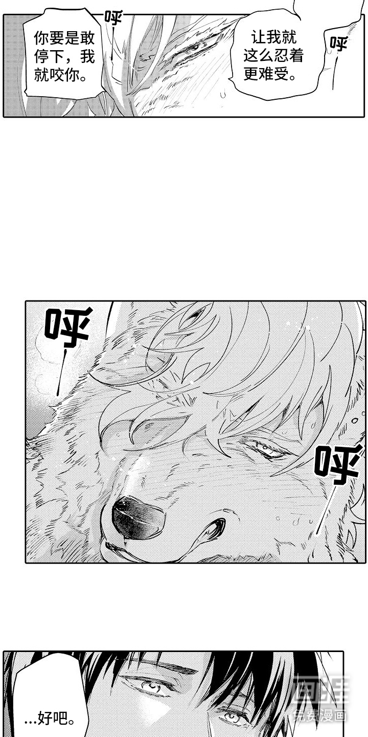 第4话：第4章：喜欢预览分镜