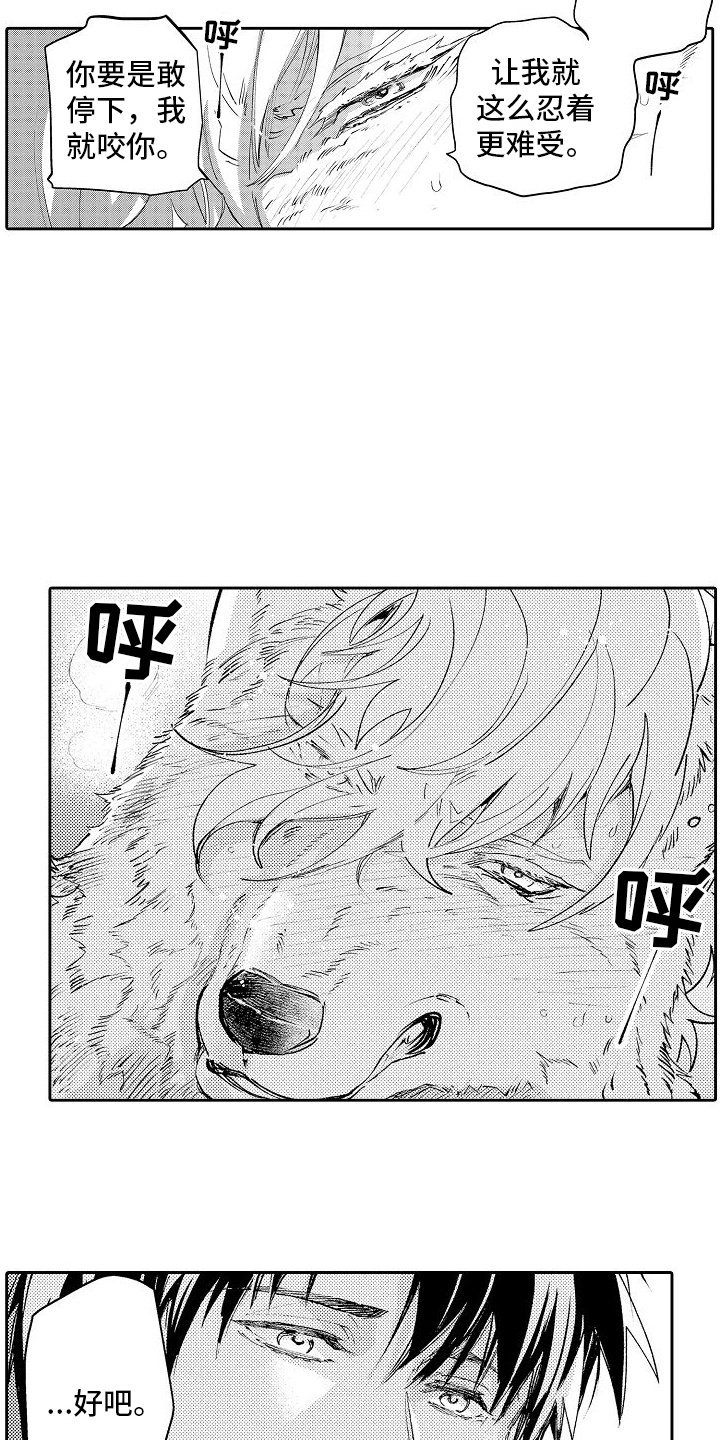 第4话：喜欢预览分镜