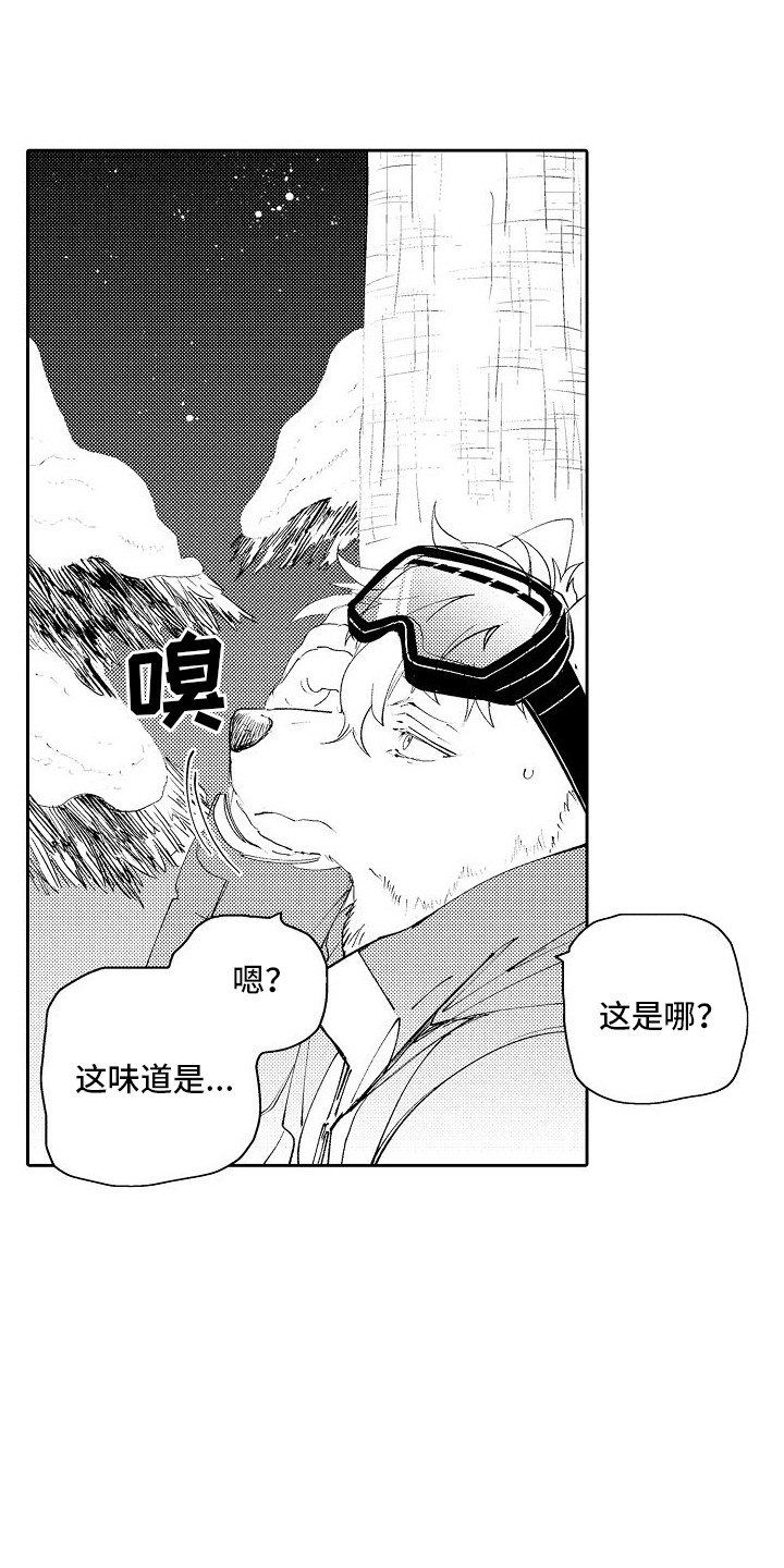 第7话：告白预览分镜