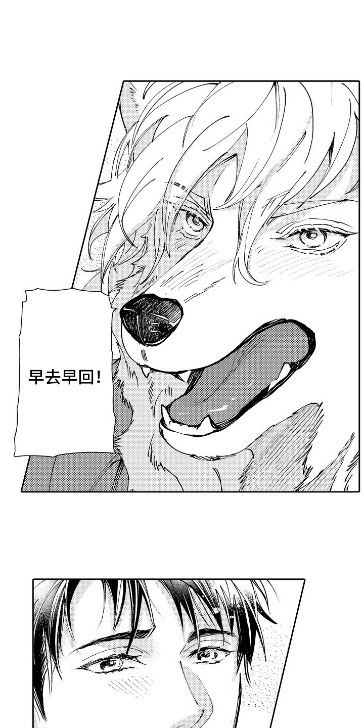 重逢(完结)