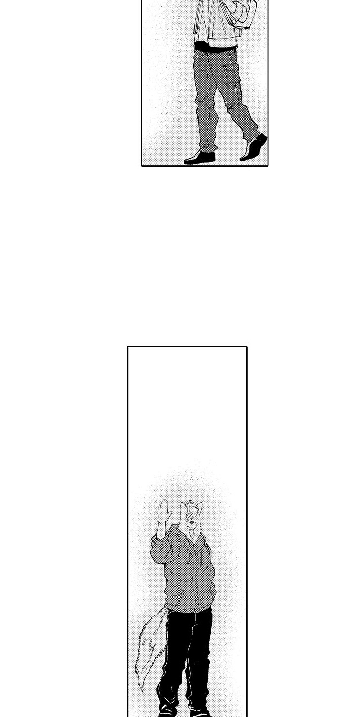 重逢(完结)
