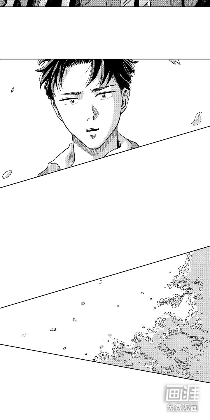 第4话：第4章：真实身份预览分镜
