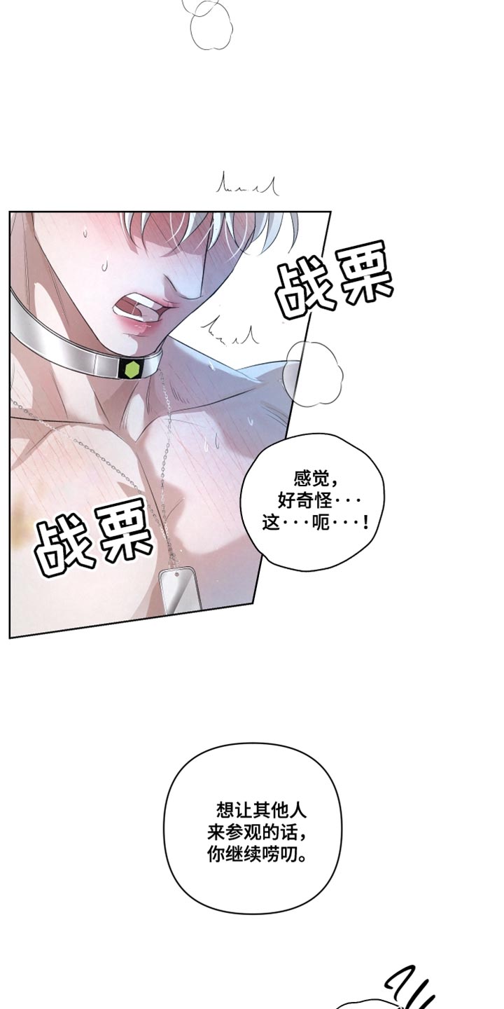 第82章:【第二季】做搭档