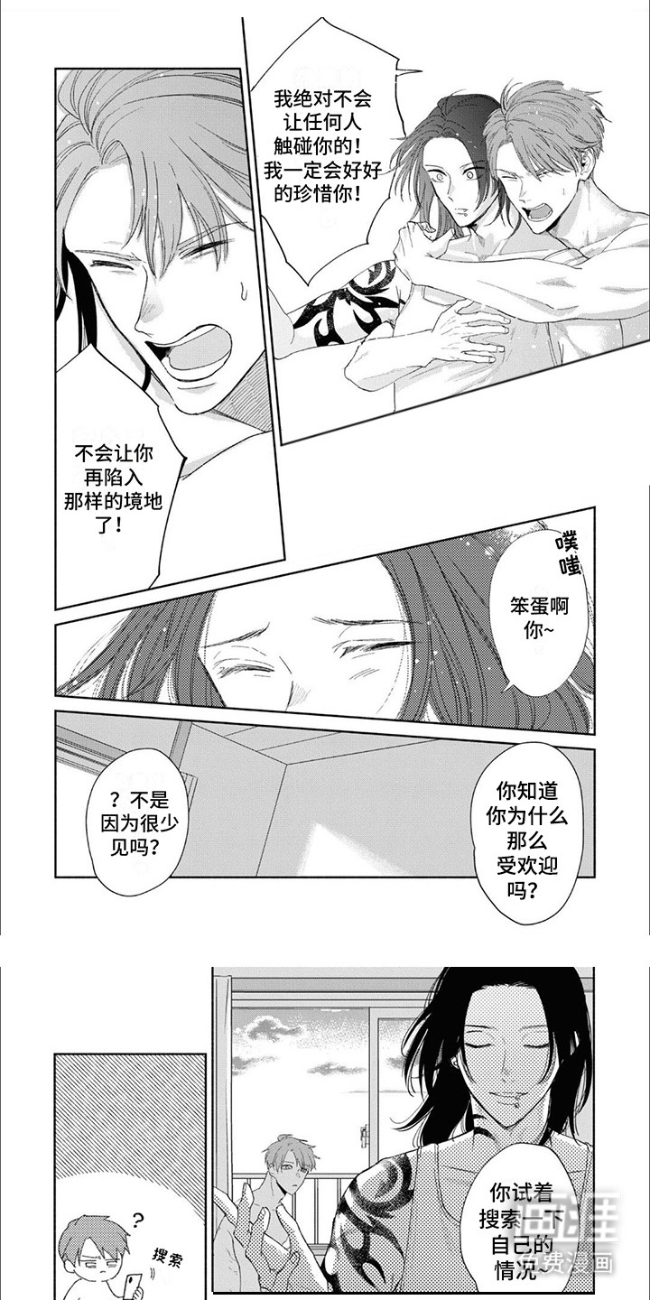 阿呆鸟(完结)