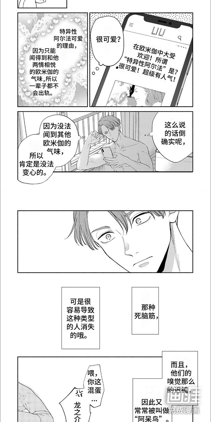 阿呆鸟(完结)