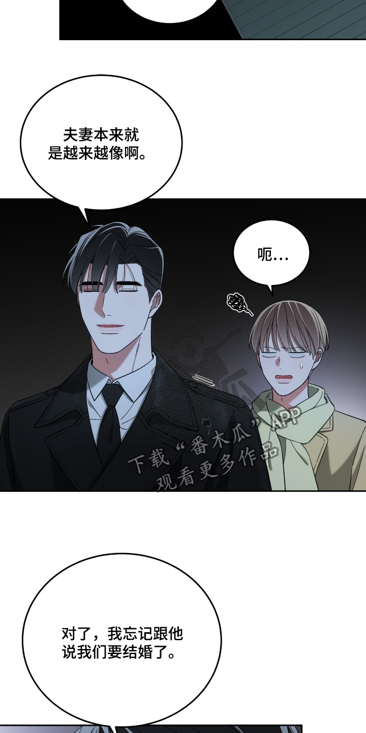 第74章：因为勇敢【完结】