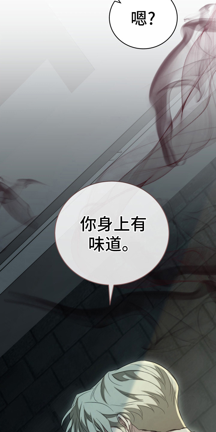 第5话：第5章：制药公司预览分镜