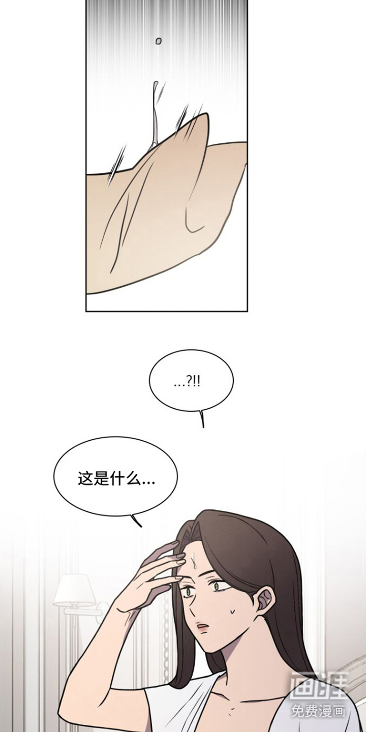 第7话：第7章：整理好了预览分镜
