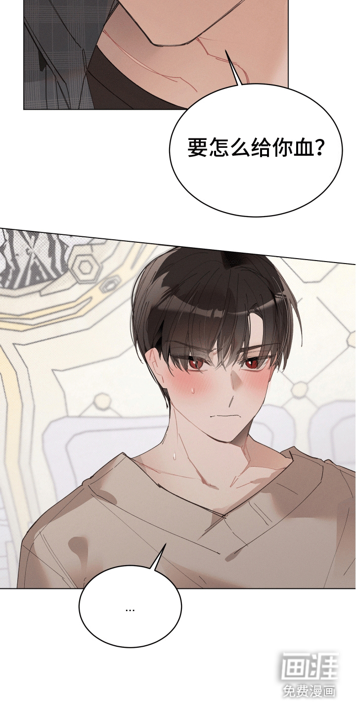 第11话：第11章：尝试预览分镜