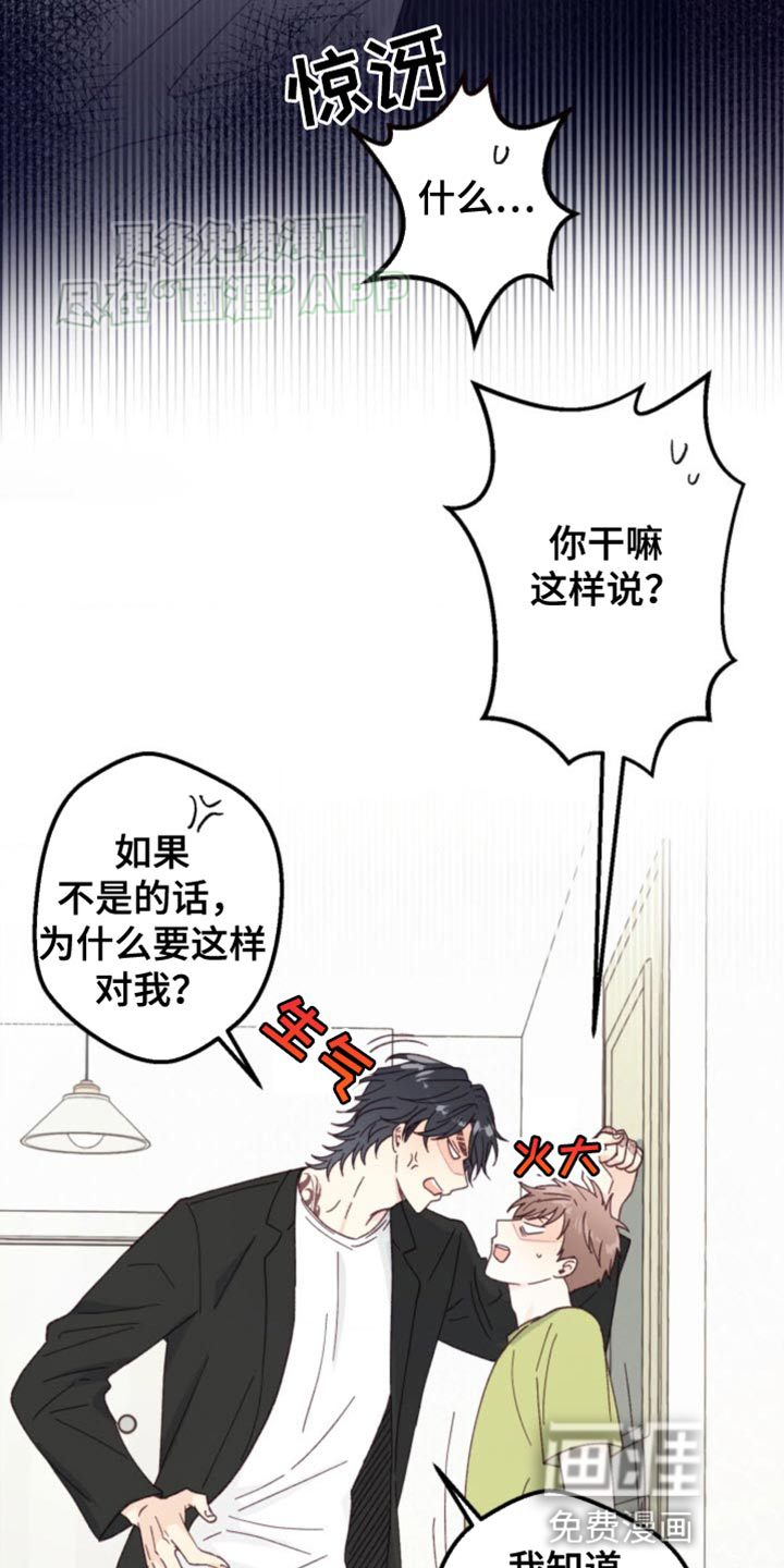 第18话：第18章：让人上火预览分镜