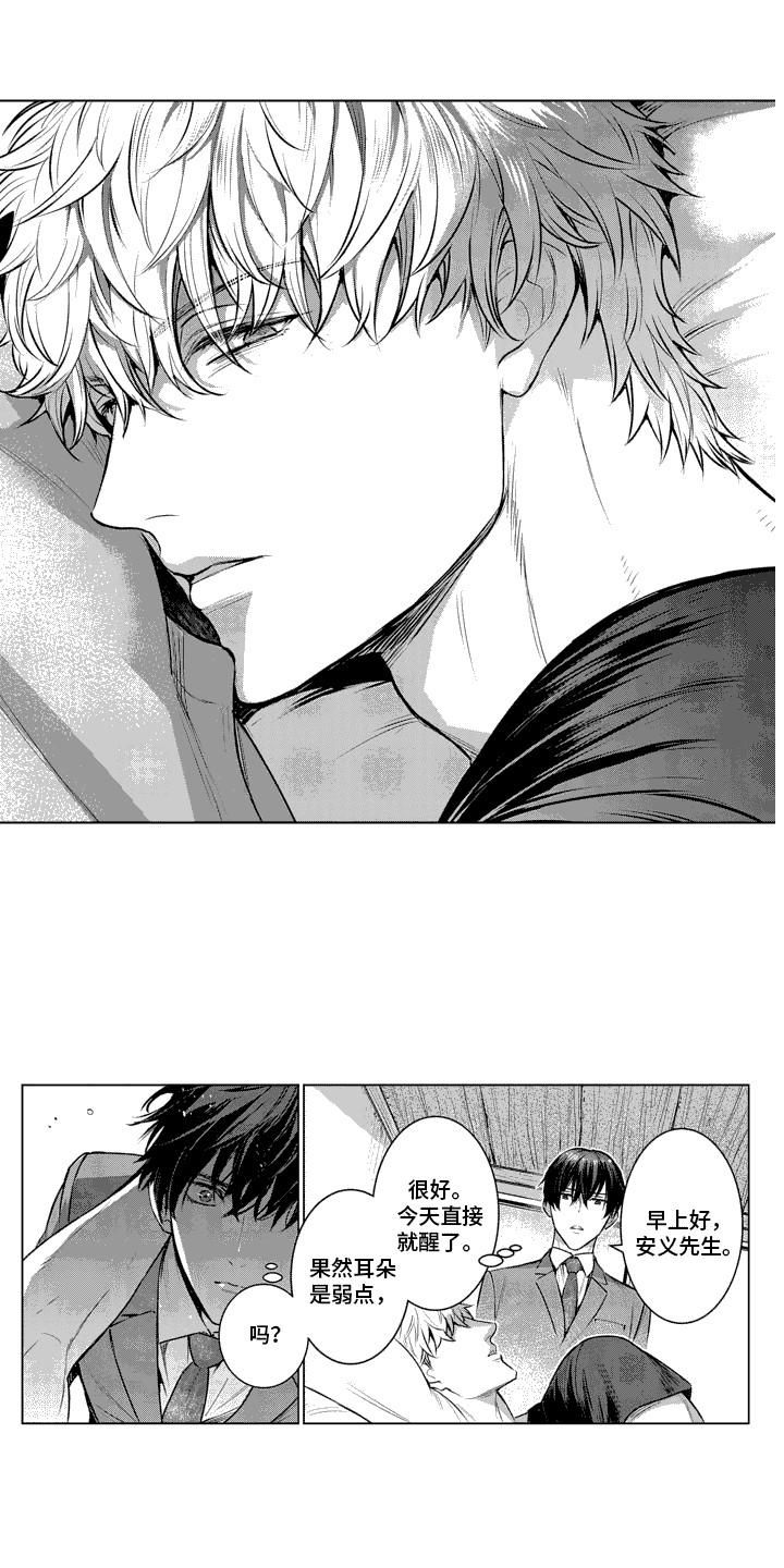 第4话：别越界预览分镜