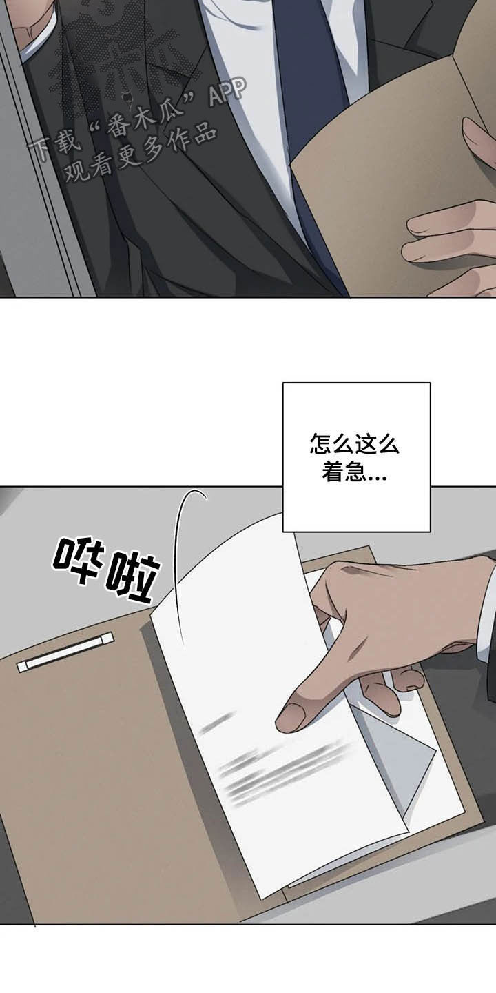 第15话：第15章：细心温柔预览分镜