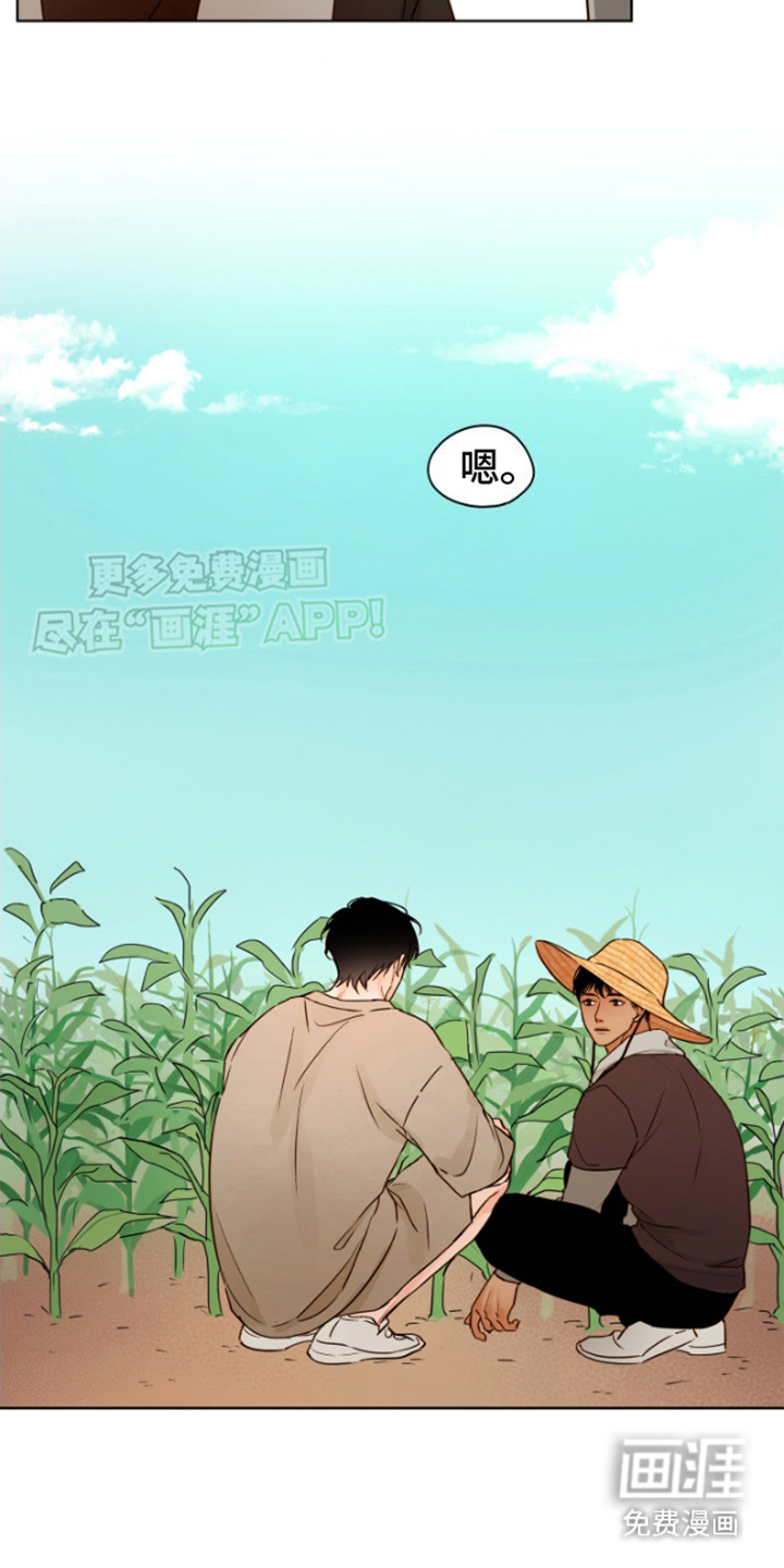 第11话：第11章：告别预览分镜