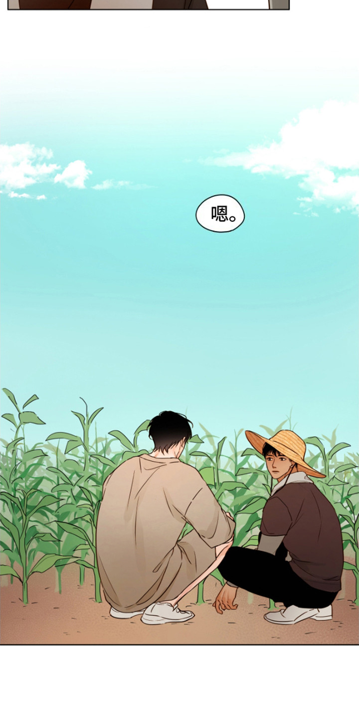 第11话：告别预览分镜