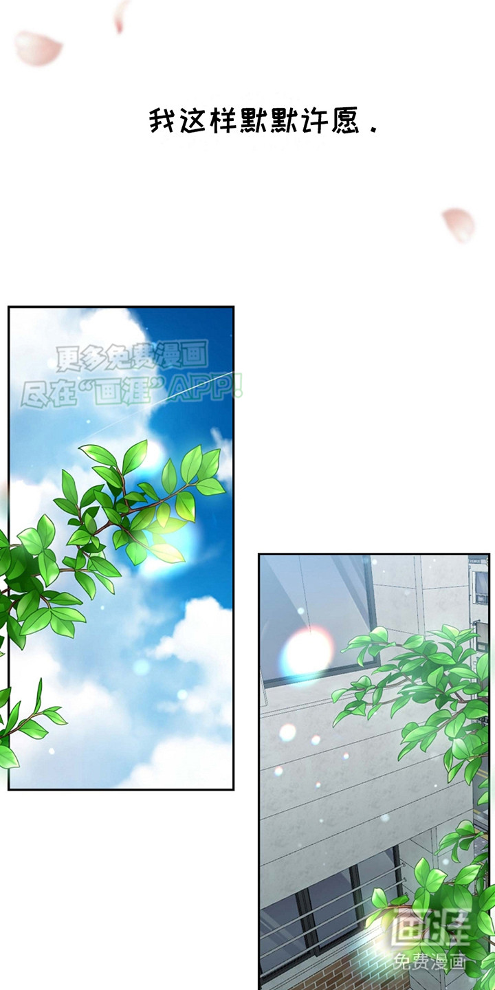 第8话：第8章：欺负预览分镜