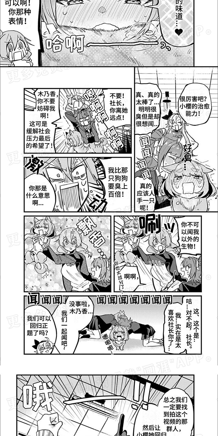 第12话：第12章：制定计划预览分镜