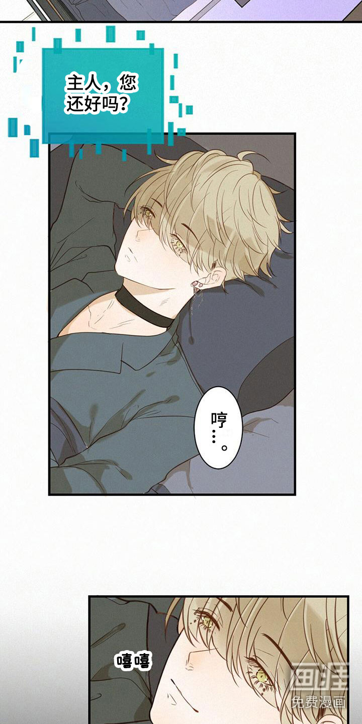 第6话：第6章：计划预览分镜