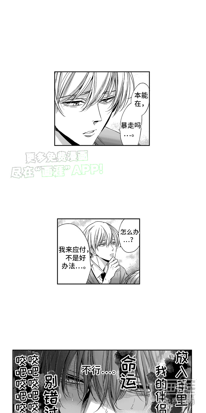 第3话：第3章：很甜预览分镜