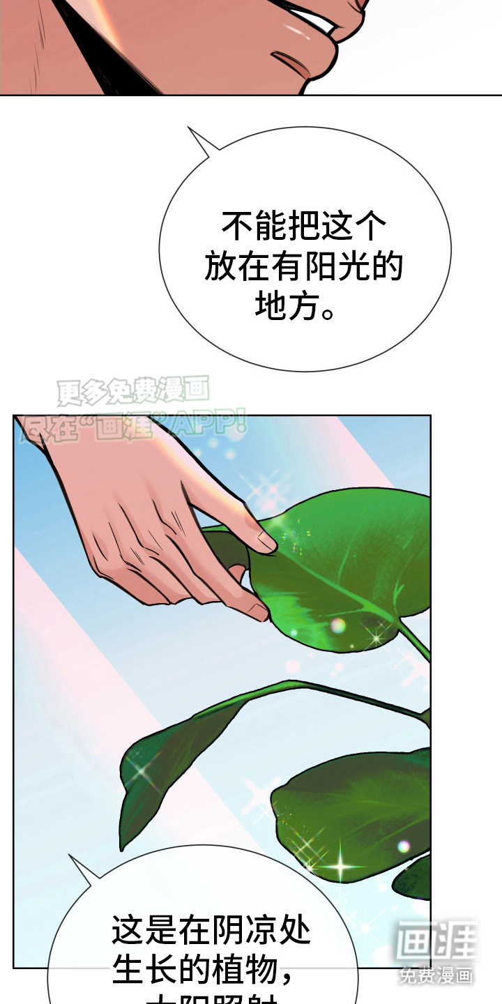 第9话：第9章：梦醒了预览分镜