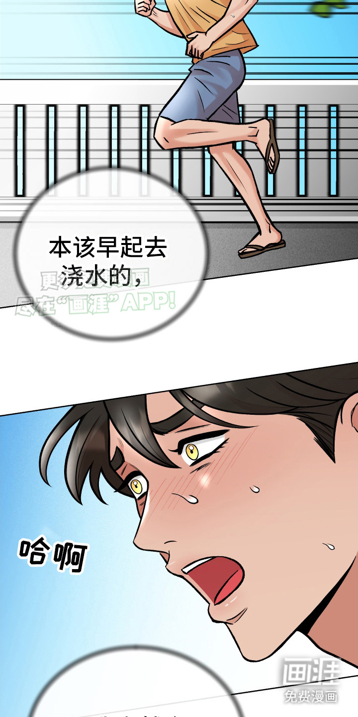 第10话：第10章：这就是爱预览分镜