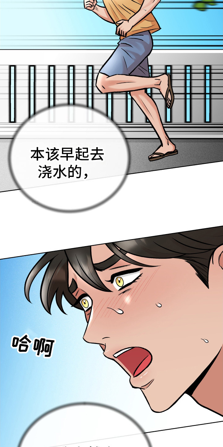 第11话：这就是爱预览分镜
