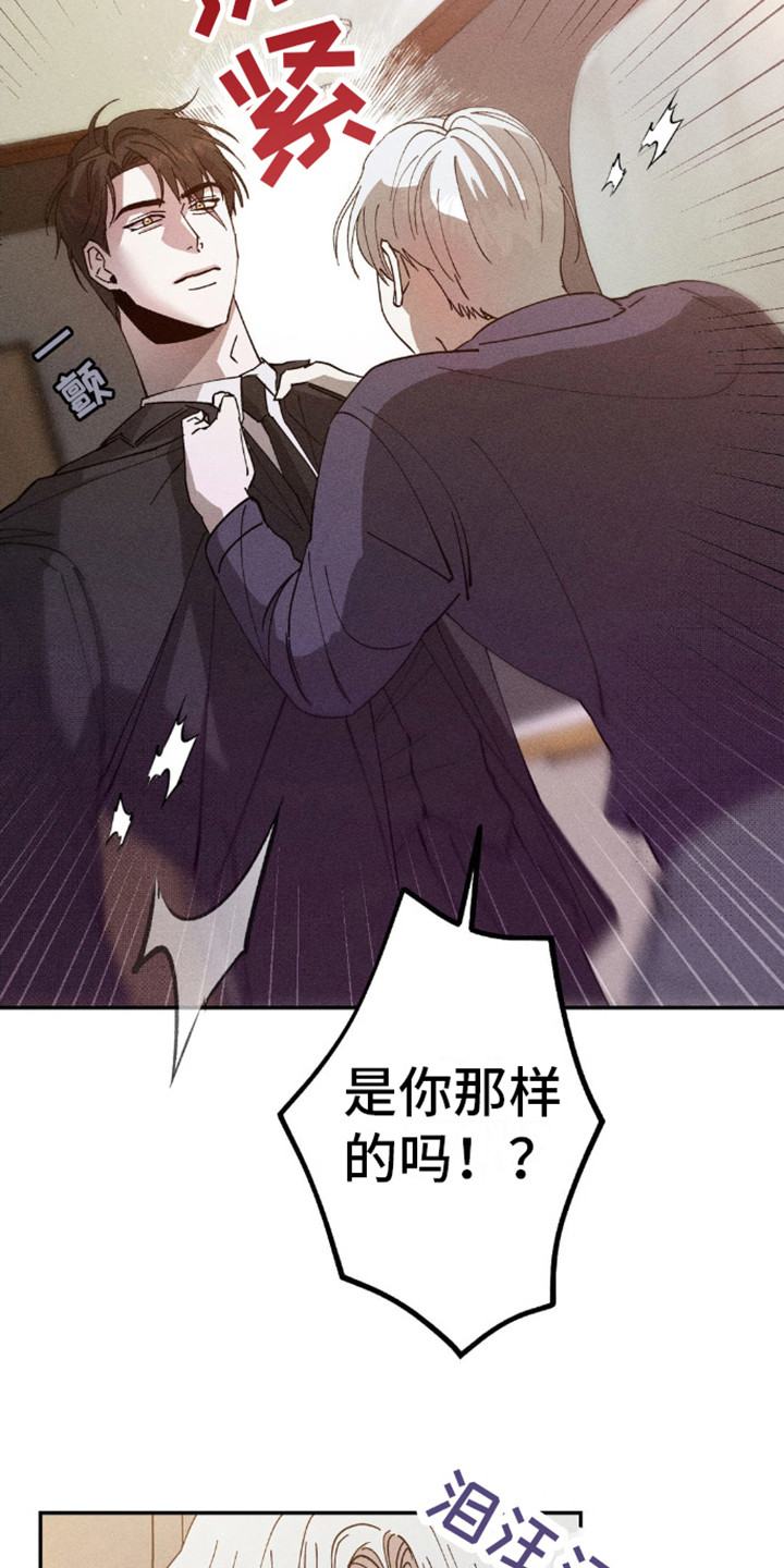 第8话：最爱你预览分镜