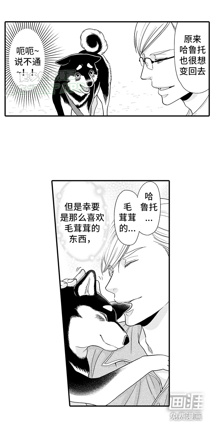 第9话：第9章：前男友上门预览分镜