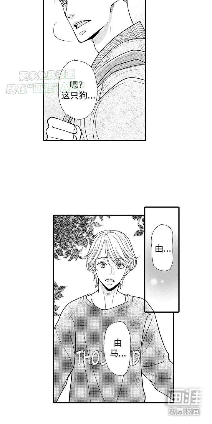 第14话：第14章：重新变回人预览分镜