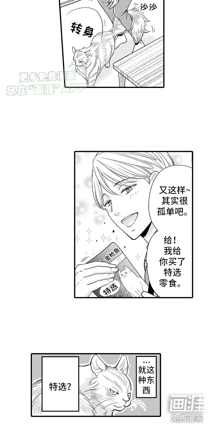第16话：第16章：猫猫和饲主预览分镜
