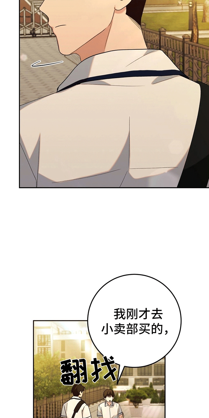 第7话：便当预览分镜