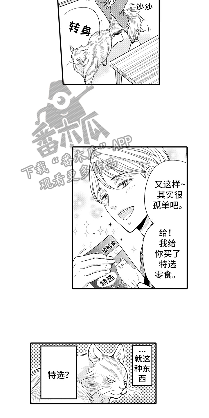 第16话：猫猫和饲主预览分镜