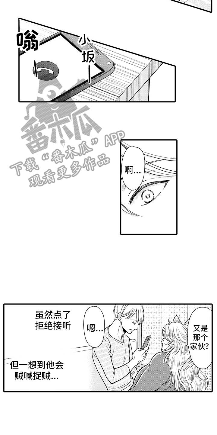 第18话：嘴硬小猫预览分镜