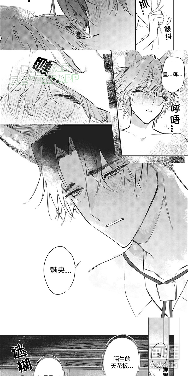 第6话：第6章：条件预览分镜