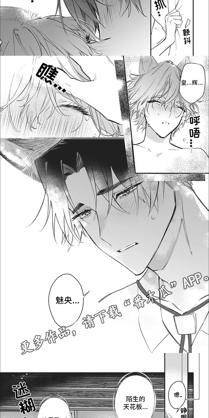 第6话：条件预览分镜