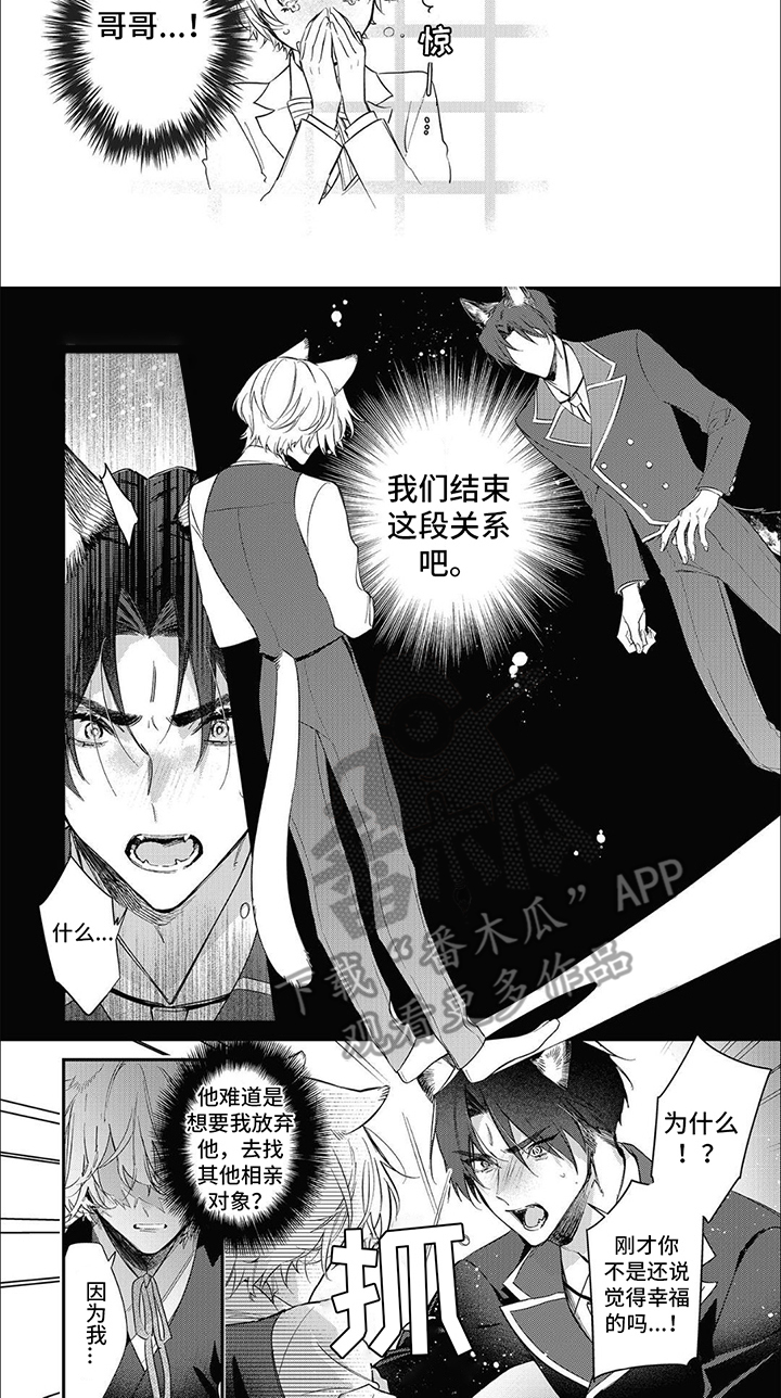 第11话：他的心意预览分镜