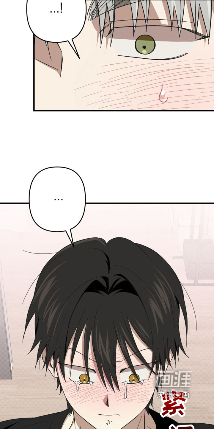 第15话：第15章：原谅预览分镜