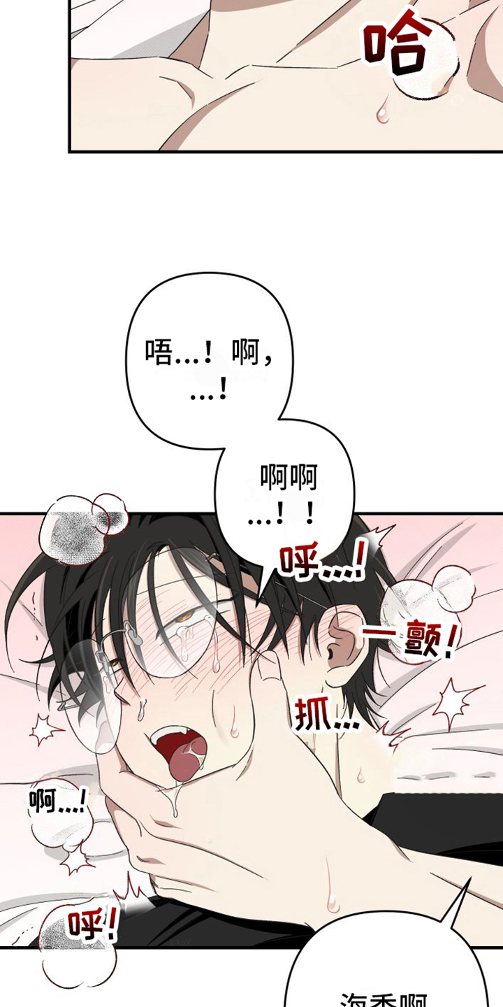 第17话：都很喜欢【完结】预览分镜