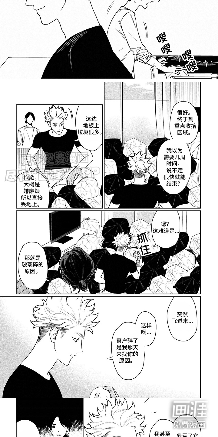 第5话：第5章：整理预览分镜
