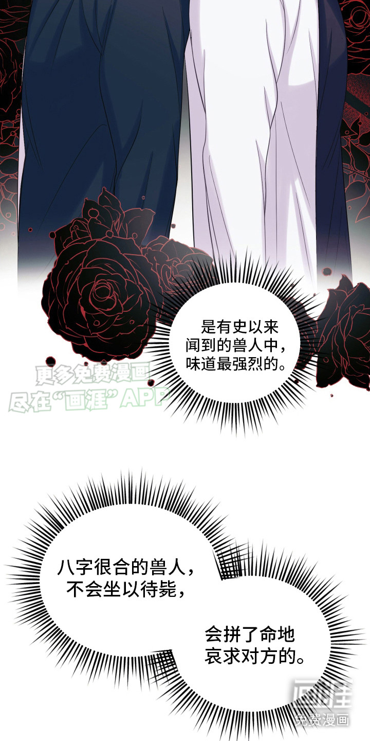 第6话：第6章：兔子预览分镜