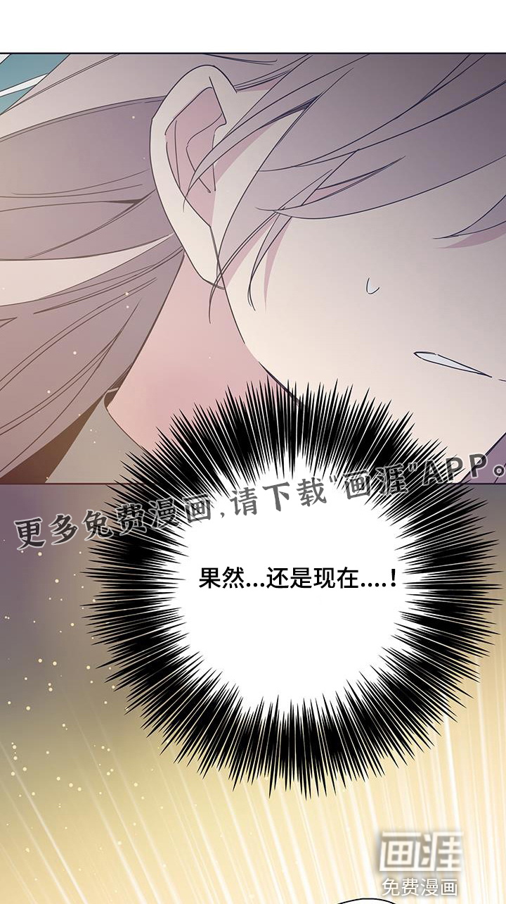 第64章:听错了吗【完结】