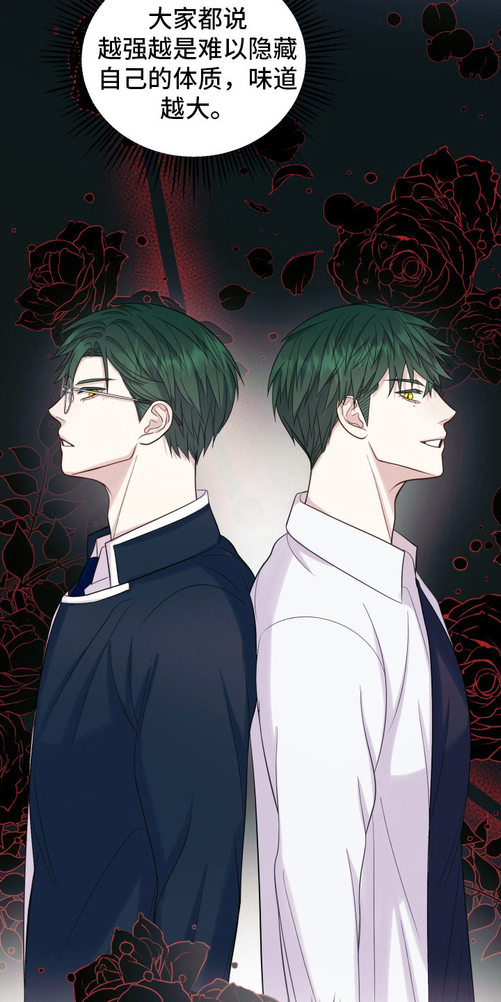 第6话：兔子预览分镜
